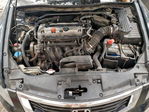 Honda Accord 2010
