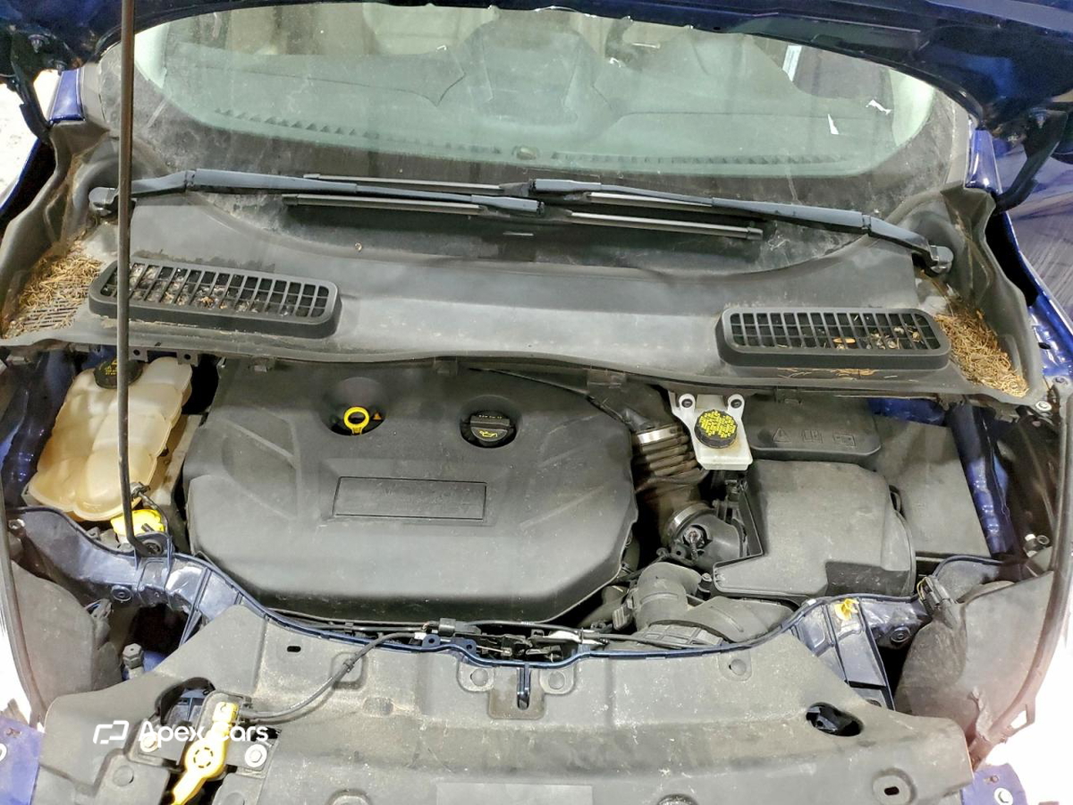 Ford Escape 2016