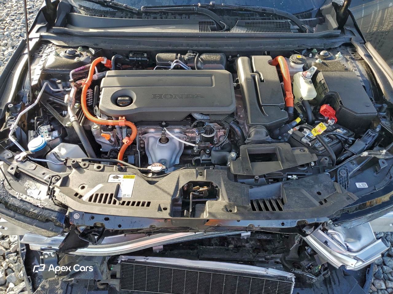 Honda Accord 2025