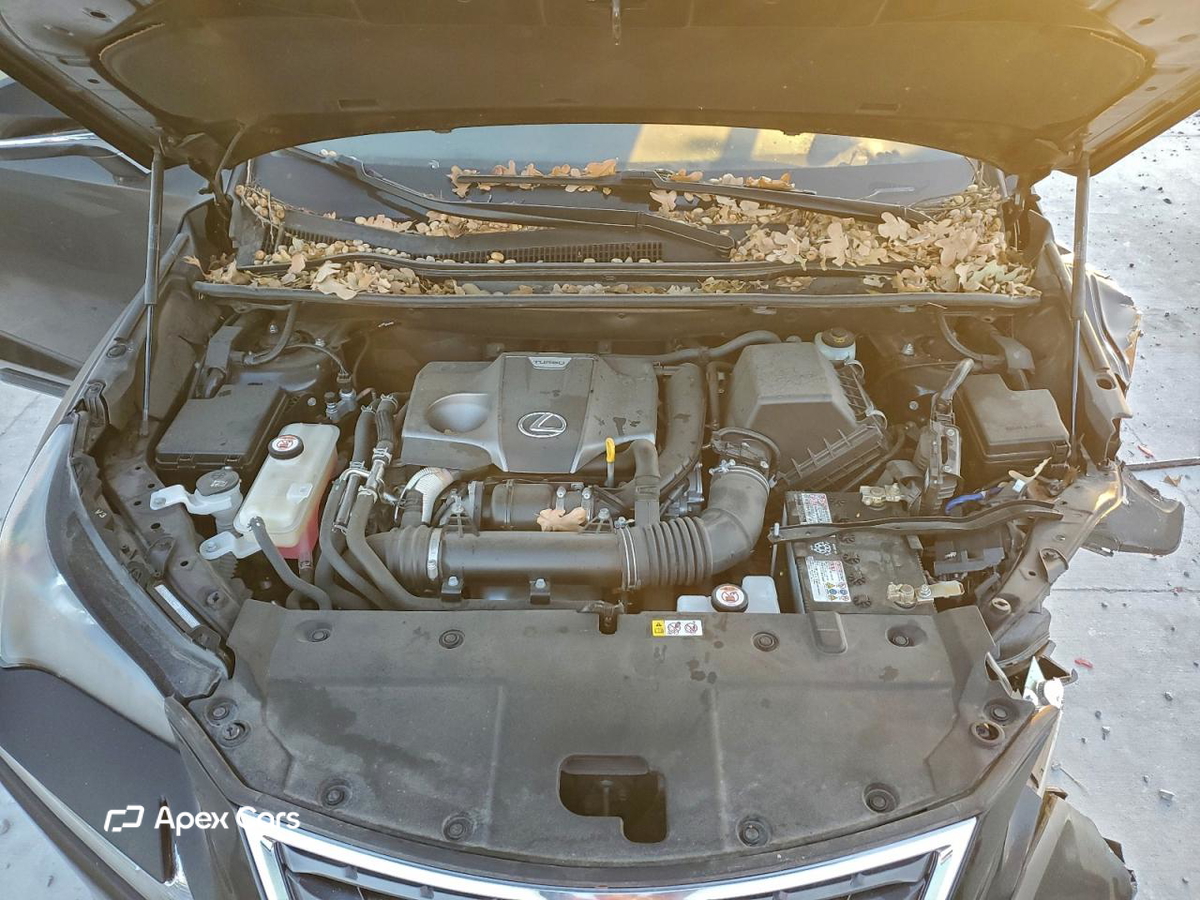 Lexus NX 2021
