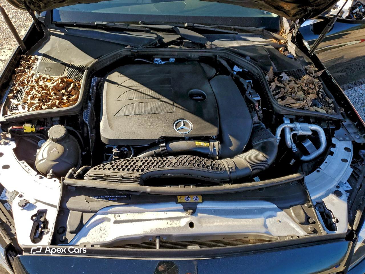Mercedes-Benz  2019