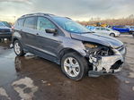 Ford Escape 2013