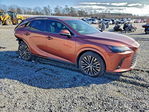Lexus RX 2023