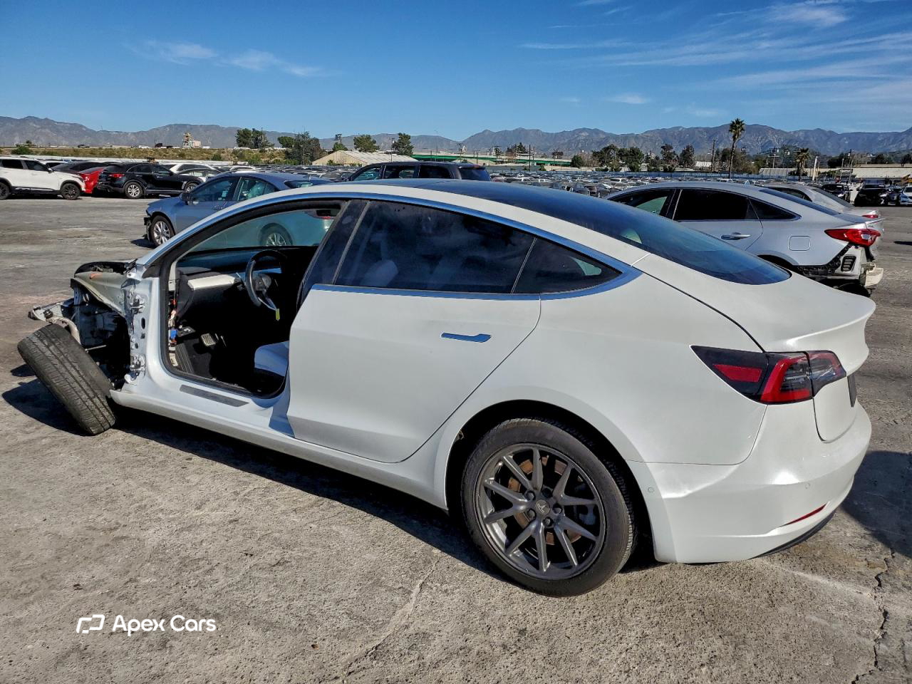 Tesla Model 3 2019