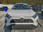 Toyota RAV 4 2024