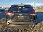 Toyota RAV 4 2023