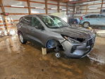Ford Escape 2024