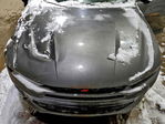 Dodge Hornet 2024