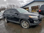 Kia Sorento 2011