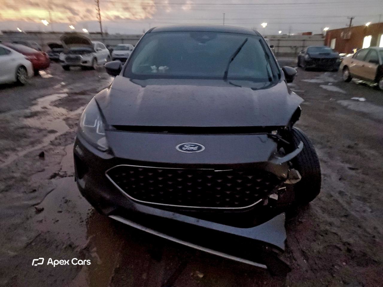 Ford Escape 2020
