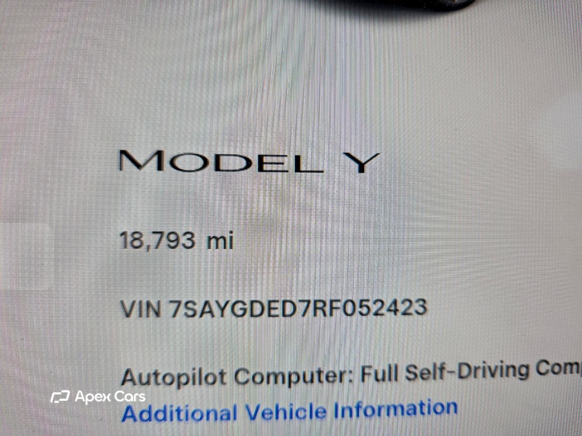 Tesla Model Y 2024