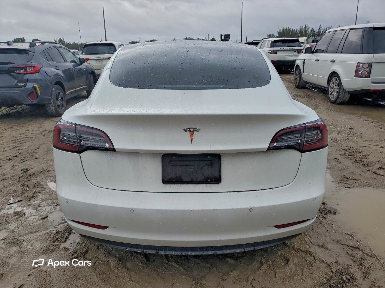 Tesla Model 3 2020