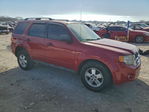 Ford Escape 2011