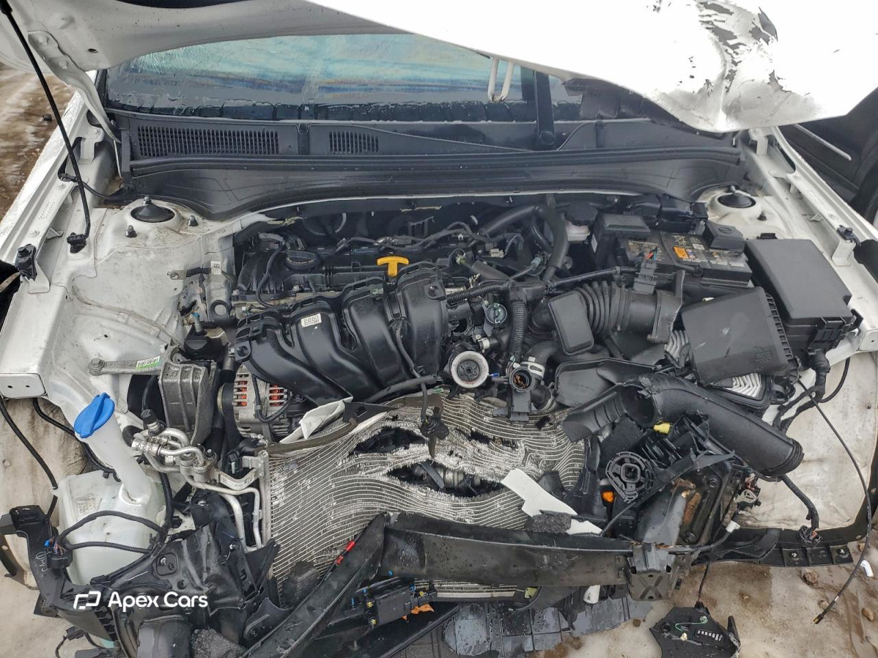 Kia Forte 2022