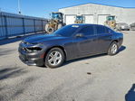 Dodge Charger 2019