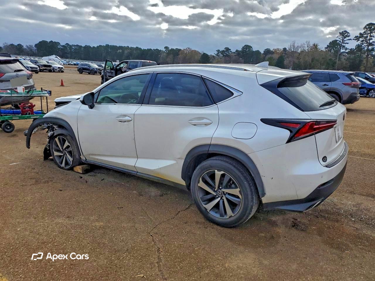 Lexus NX 2019