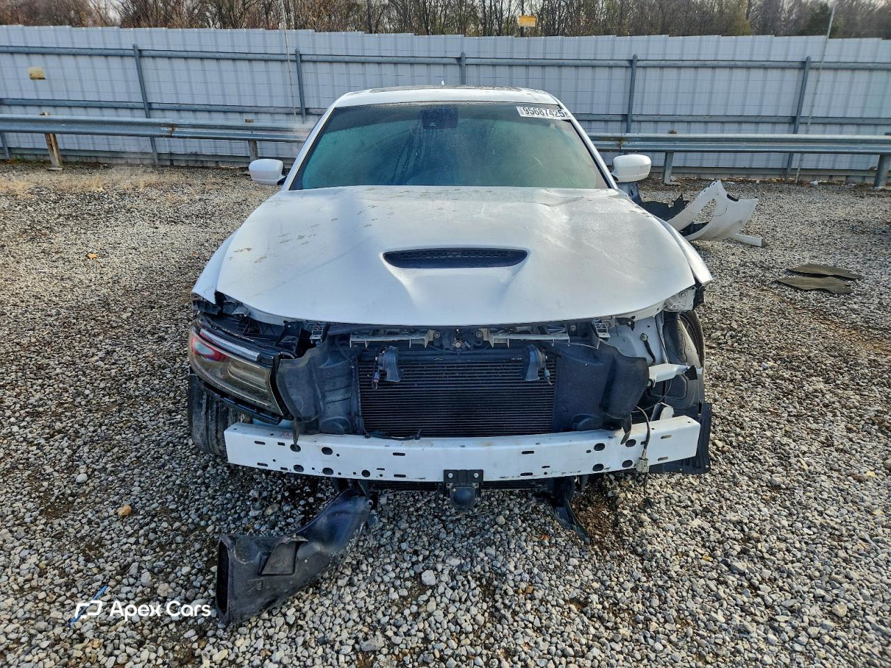 Dodge Charger 2017