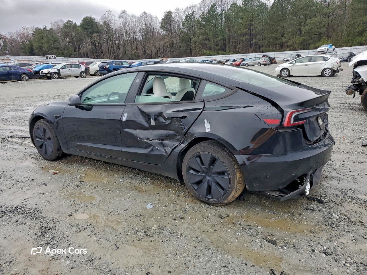 Tesla Model 3 2025