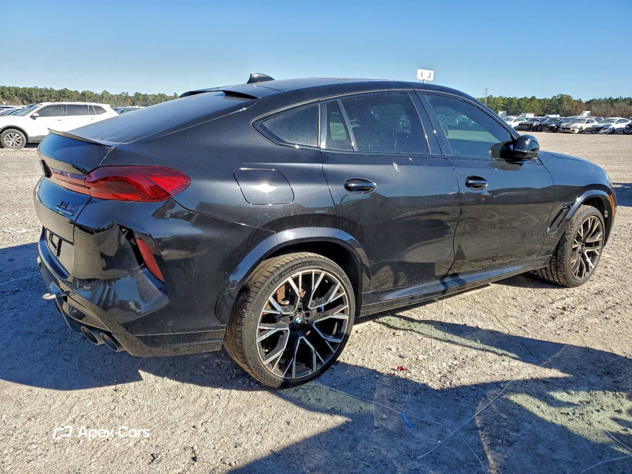 BMW X6 2021