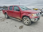 Nissan Navara (Frontier) 2010