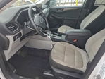 Ford Escape 2024