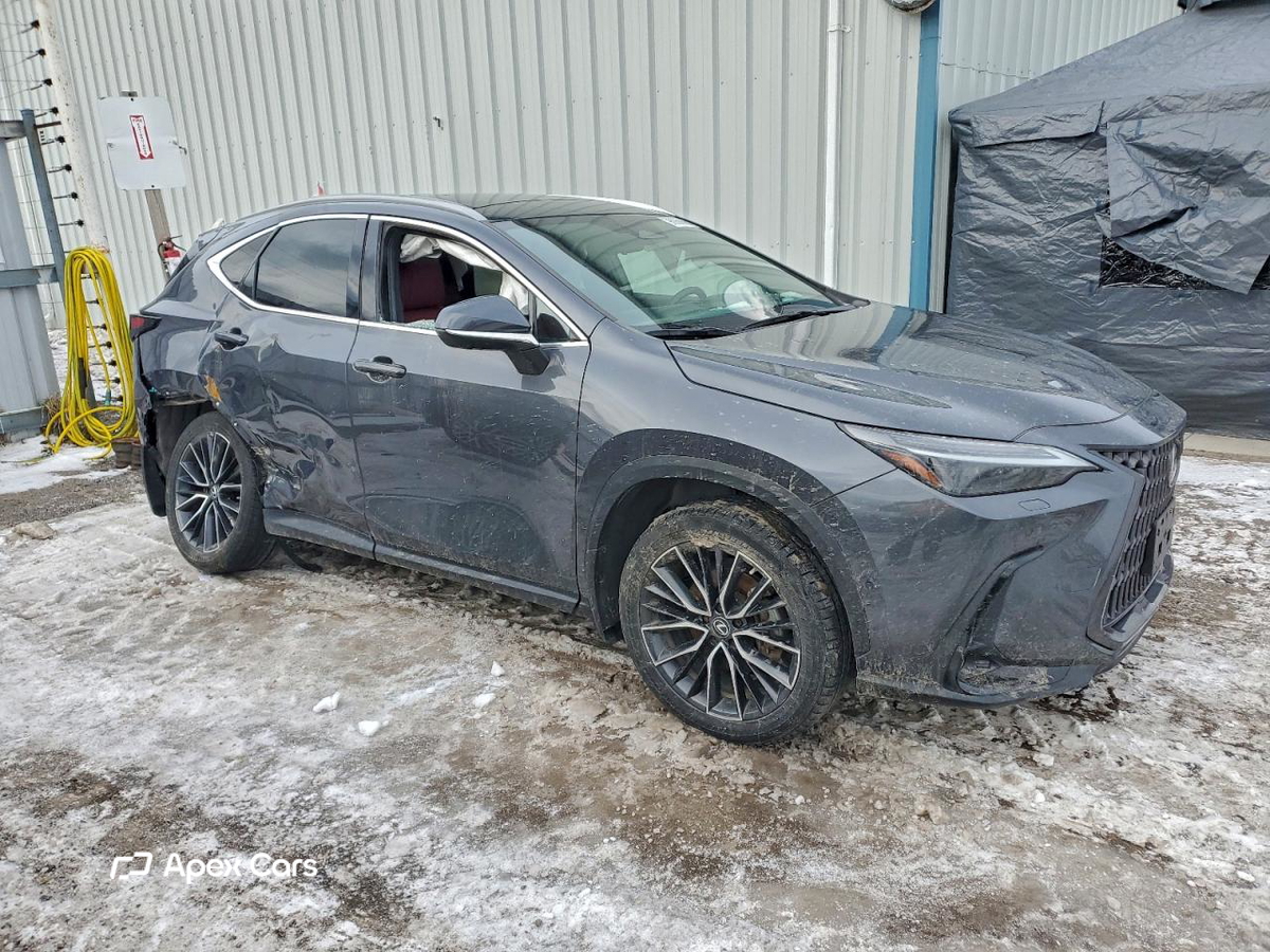 Lexus NX 2022