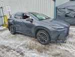 Lexus NX 2022