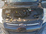 Ford Escape 2015