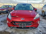 Ford Escape 2021