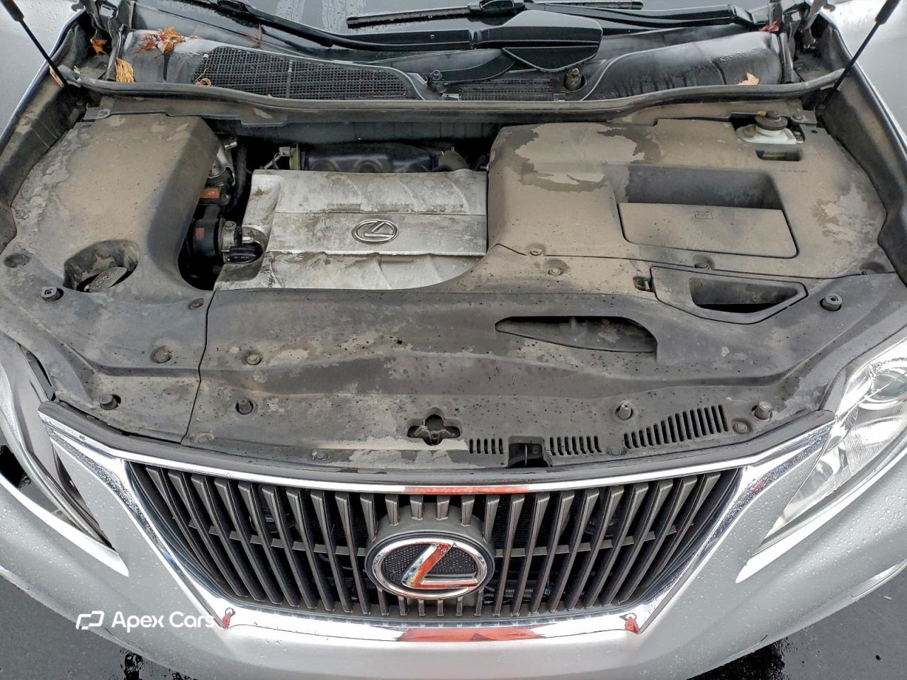 Lexus RX 2010