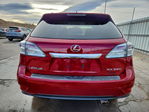 Lexus RX 2010