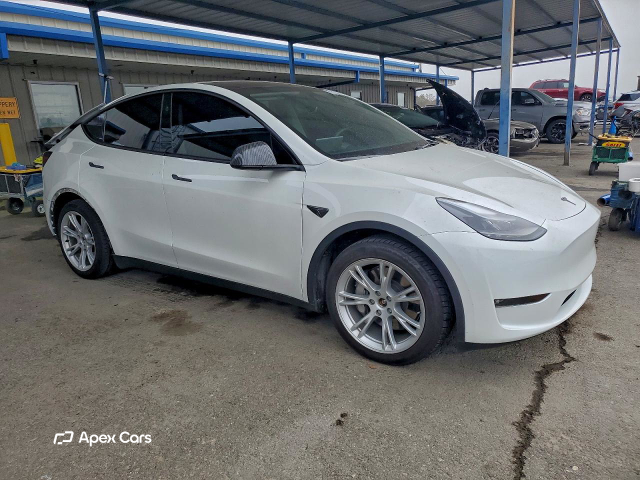 Tesla Model Y 2024