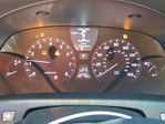 Lexus LS 2009