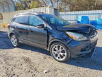 Ford Escape 2013