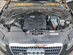 Audi Q5 2012