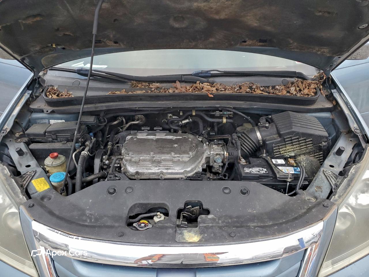 Honda Odyssey 2010
