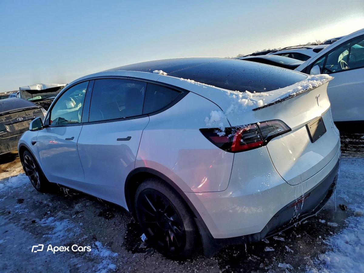 Tesla Model Y 2021