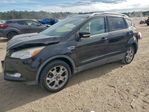 Ford Escape 2015