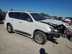 Lexus GX 2023