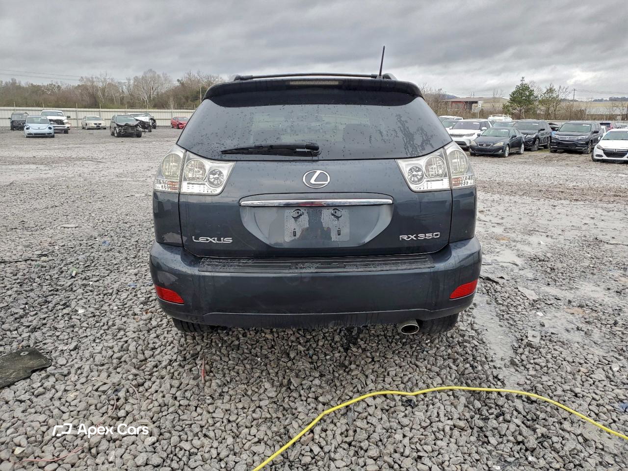 Lexus RX 2009