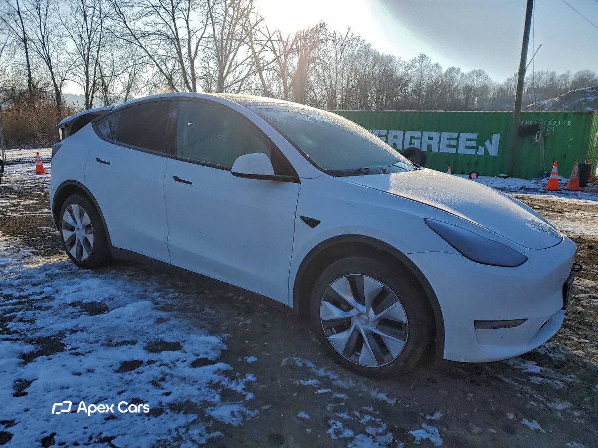 Tesla Model Y 2024