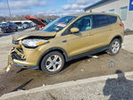 Ford Escape 2014