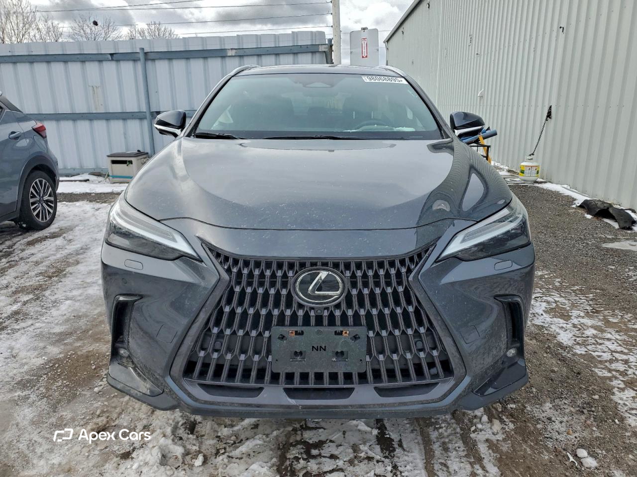 Lexus NX 2022
