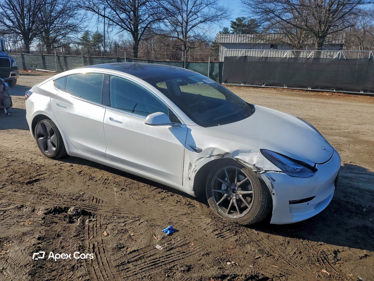 Tesla Model 3 2019