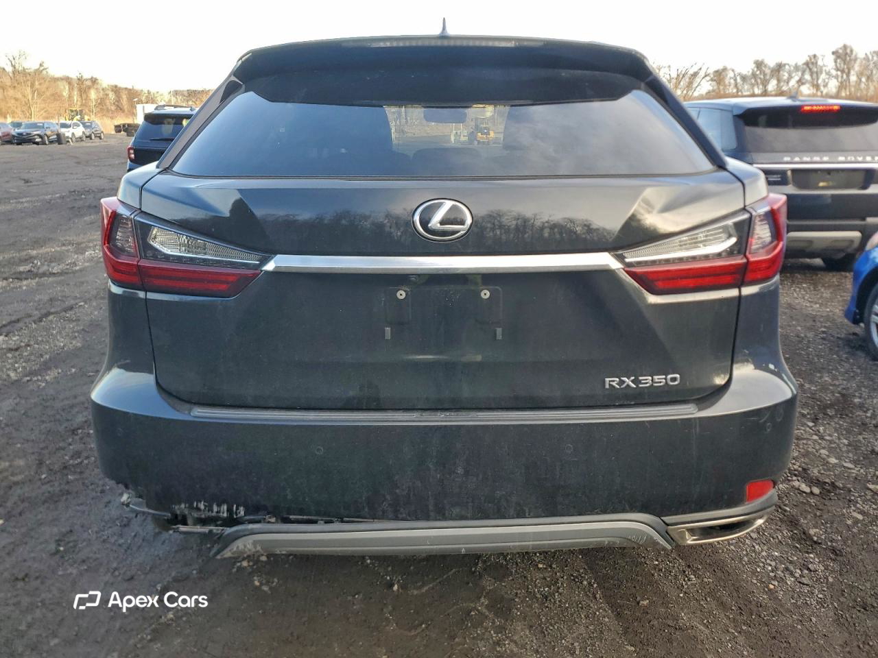 Lexus RX 2020