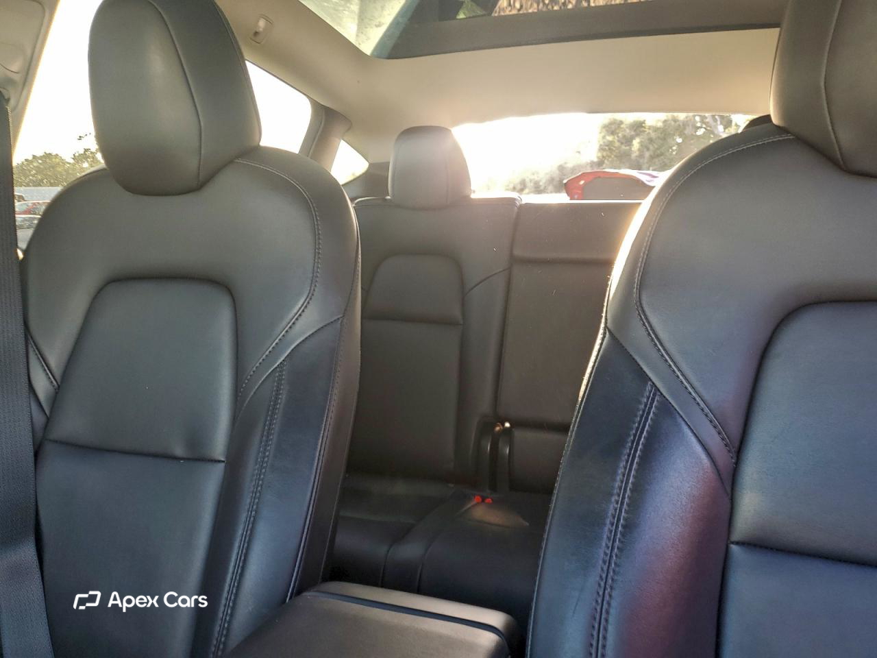 Tesla Model Y 2020