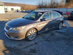 Honda Accord 2013