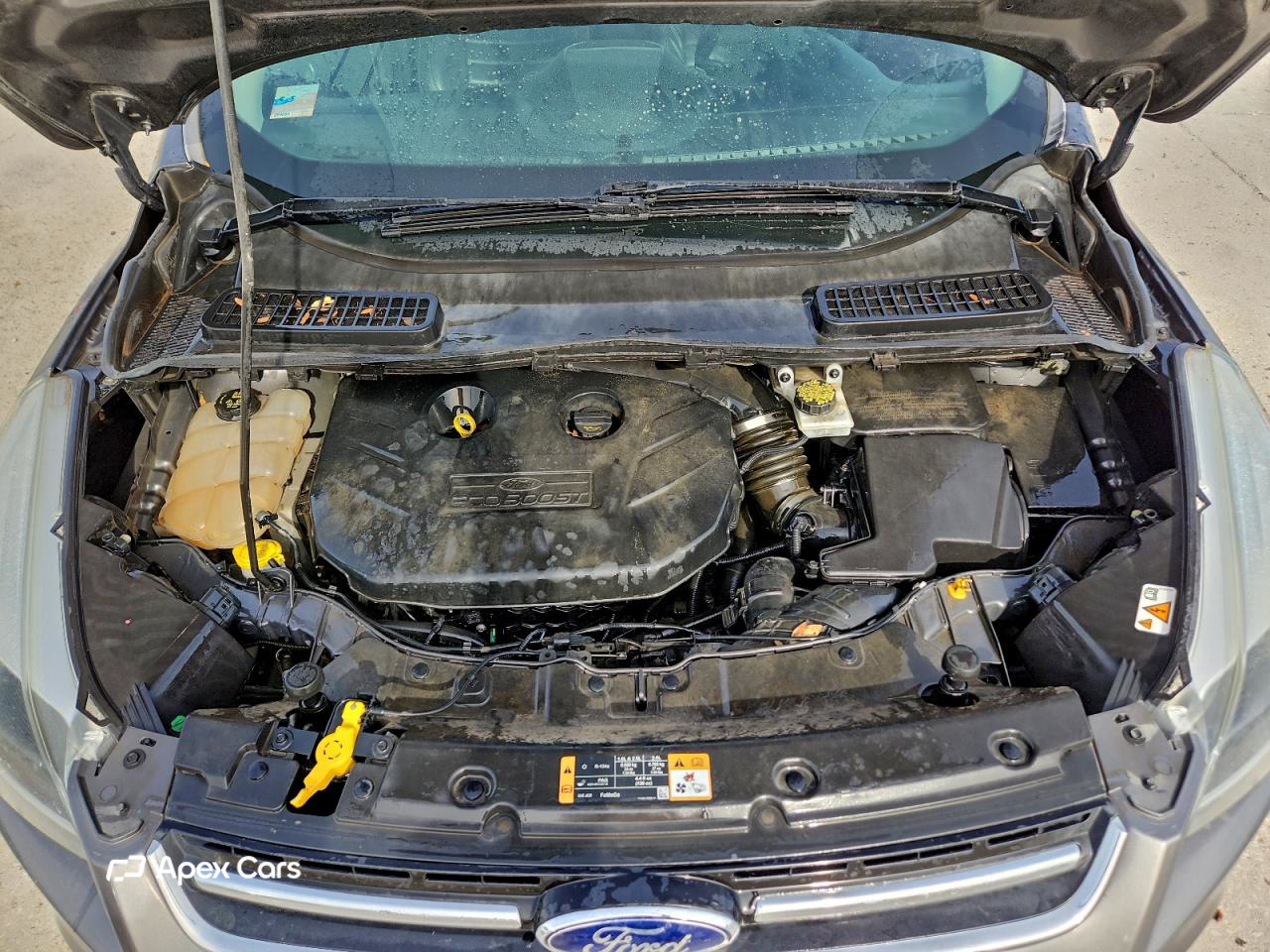 Ford Escape 2014