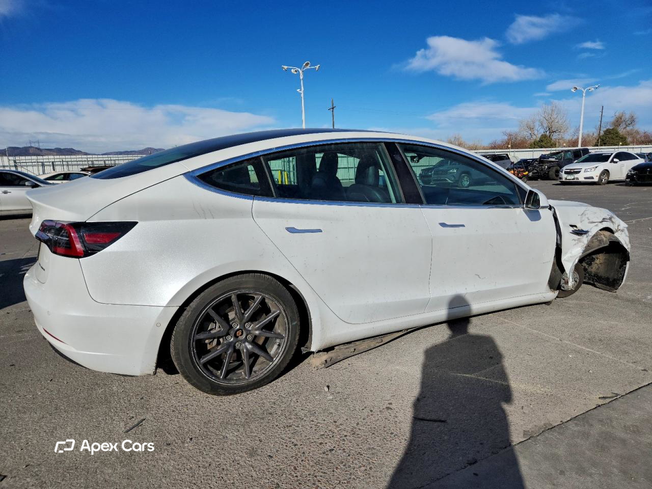 Tesla Model 3 2019