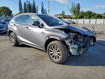 Lexus NX 2021